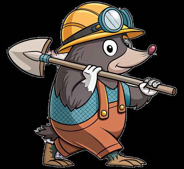 Jak ocenić różnice między panelami PCV a poliwęglanem – porównanie trwałości, ceny i odporności