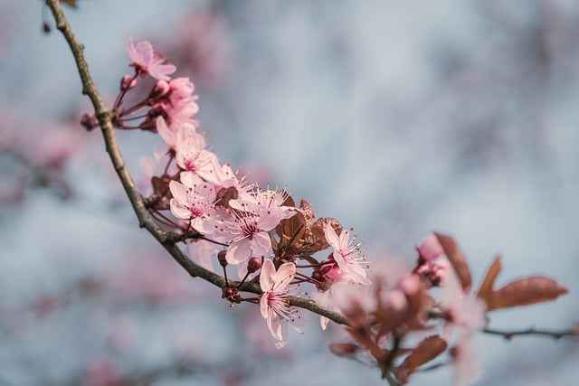 Deska elewacyjna kompozytowa: rozszerzalność termiczna